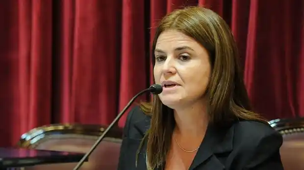 Proponen la exención del pago de la electricidad para electrodependientes