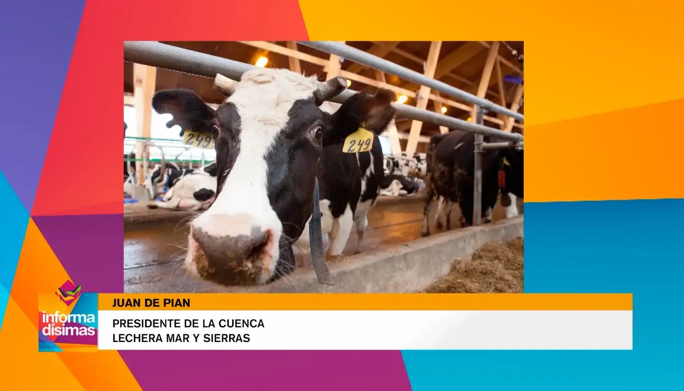 El precio del litro de leche  pagado al productor es de “Tres palitos de la selva”
