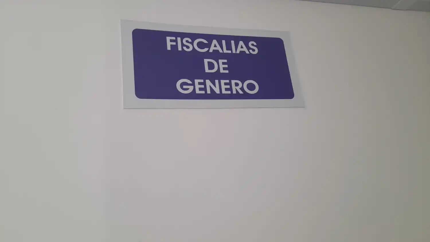 FISCALIA CLAUDIA FIOROTO VIOLENCIA DE GÉNERO ALAS DESATADAS - 3