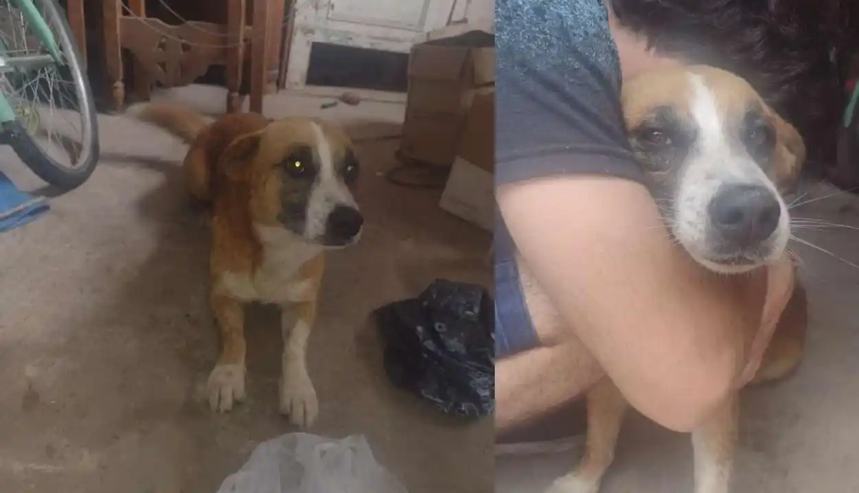 Tobías ya apareció y la familia Corvalán agradece por la difusión