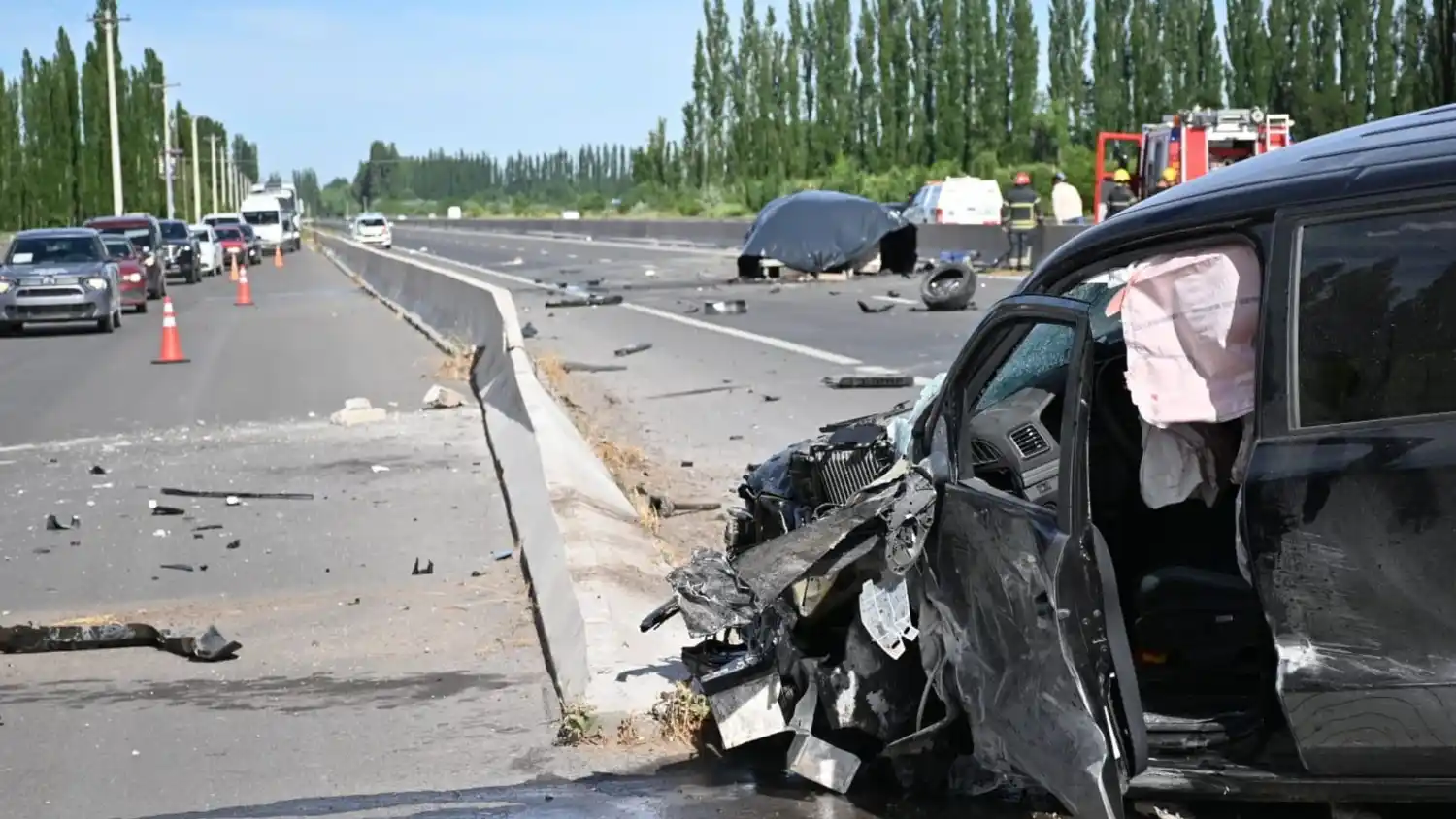 Tragedia en la ruta 22 (Fotos: Agencia Austral)