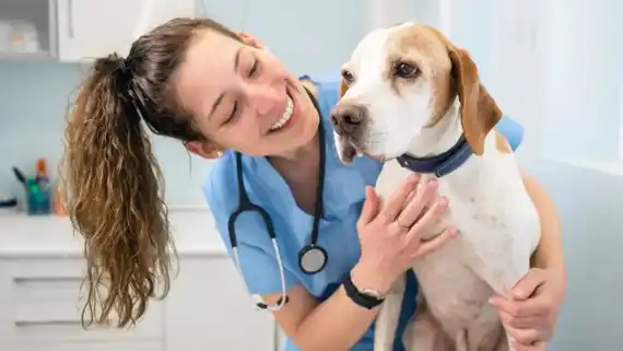 Los veterinarios celebran su día