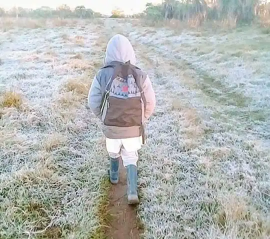 Corrientes: La lección del niño que camina por la helada para llegar a la escuela