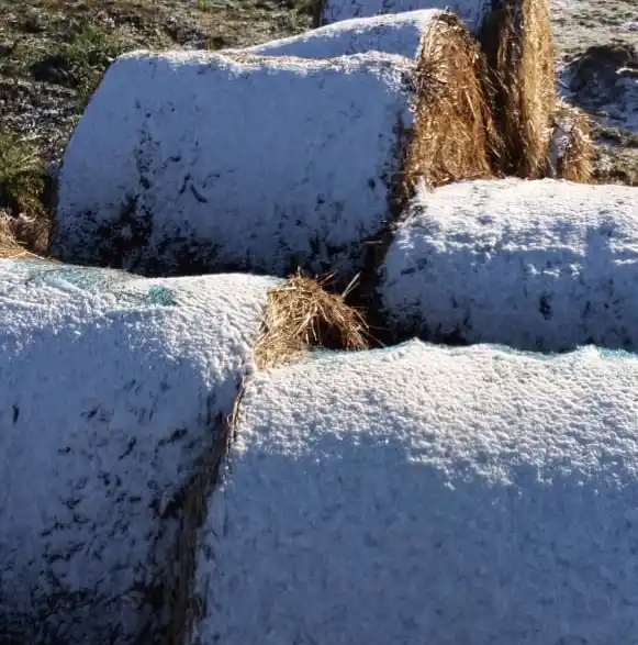 El Servicio Meteorológico Nacional pronostica nieve para esta noche en Tandil