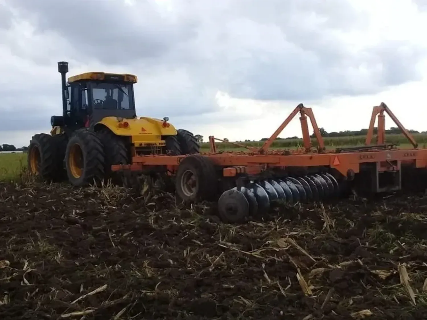 Colonias Unidas es un ejemplo inspirador de cómo la colaboración y la unión de productores pueden superar las adversidades y construir un futuro próspero en el campo argentino. Foto: Gentileza