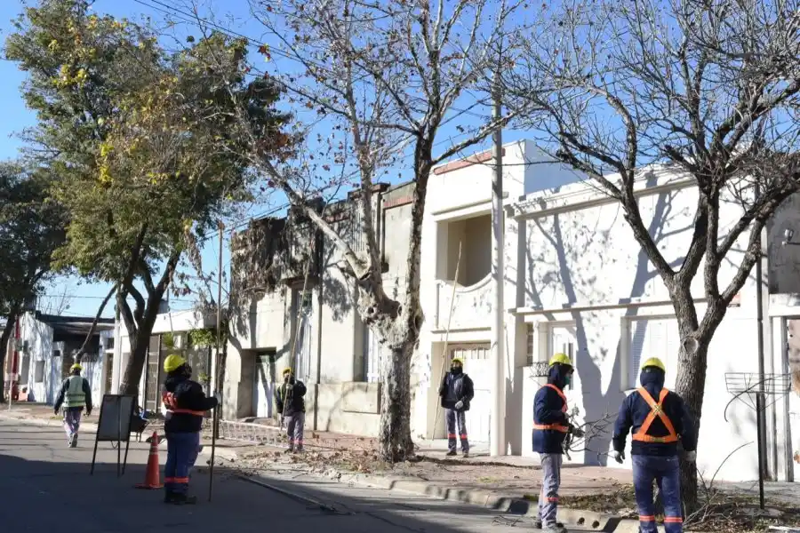 Inicia la temporada de forestación y mantenimiento del arbolado público