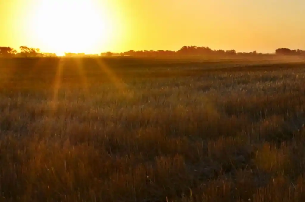 La tendencia de año “Niña” impactará más sobre los cultivos de verano que sobre los de invierno
