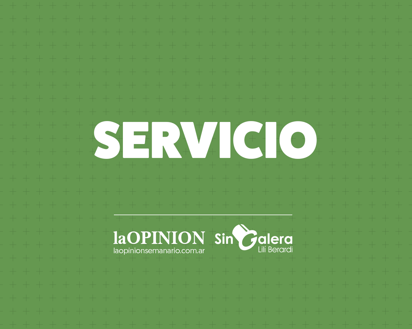 ¿Cuánto llovió?