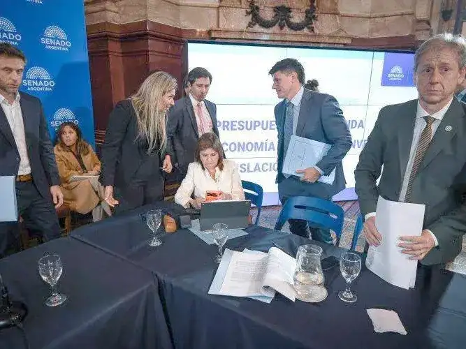 Senado: aliados de la UCR, el PRO y el PJ 
disidente frenaron el dictamen del Súper RIGI