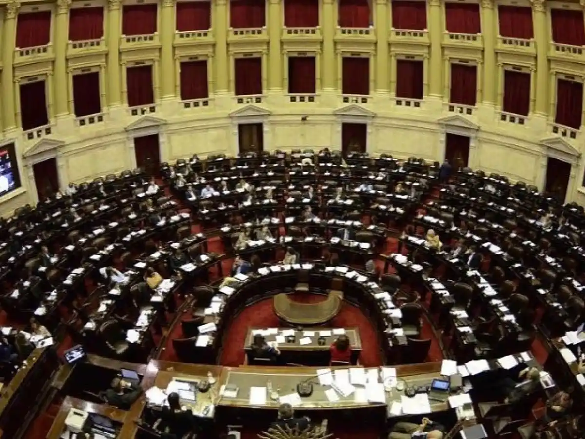 Diputados le dio media sanción a la ley de Alquileres