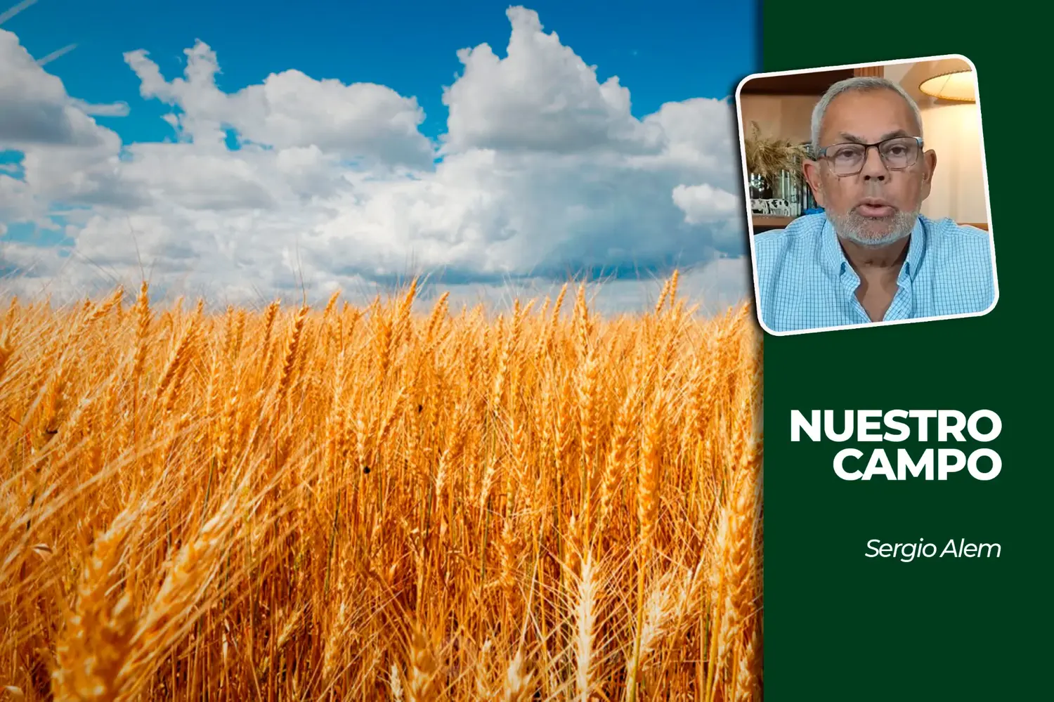 Cañuelas cerró la semana con 15.443 cabezas y el novillito superó los 4.900 pesos