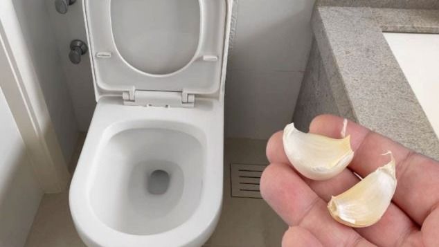 Tirar un diente de ajo por el inodoro: por qué recomiendan hacerlo y para qué sirve