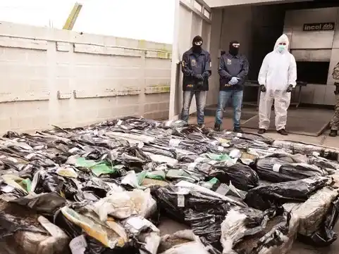 Entre Ríos: realizaron la destrucción de droga más importante en la historia de la provincia