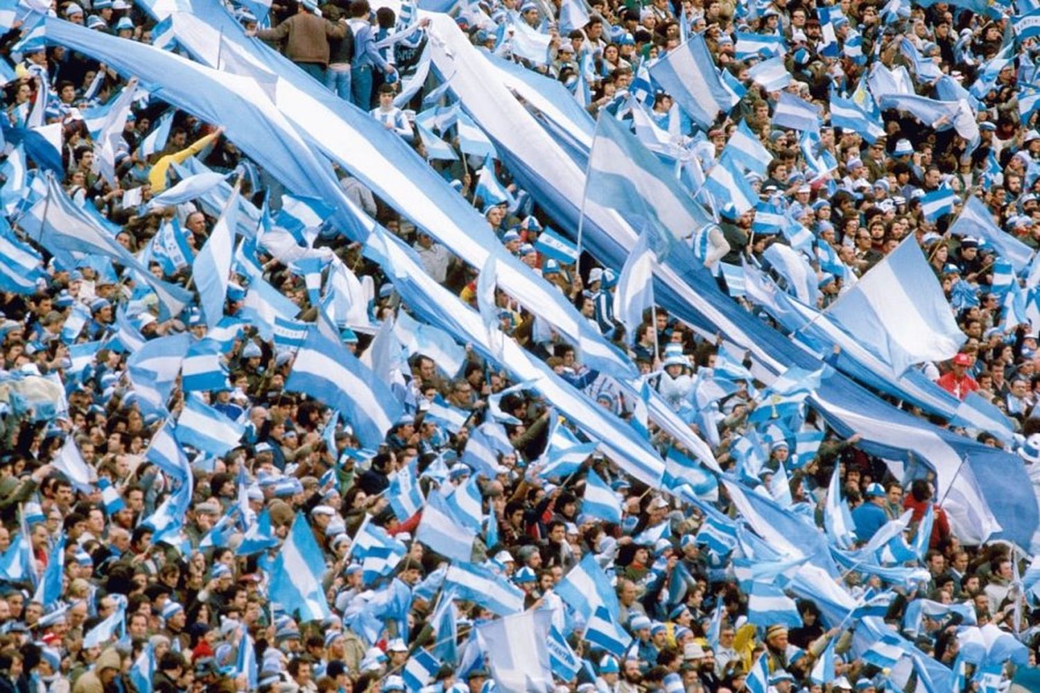 Fanatismo total: se agotaron las entradas para los partidos de Argentina en Qatar 2022