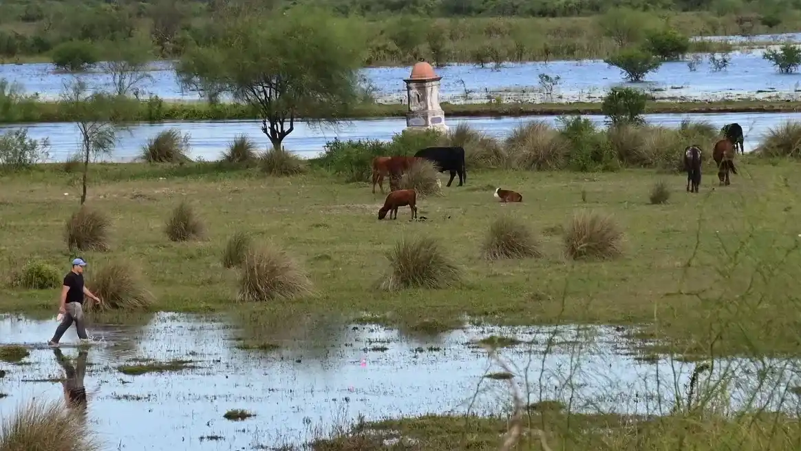 Río Salado: tras el pico de crecida por lluvias extremas, la altura comienza a normalizarse
