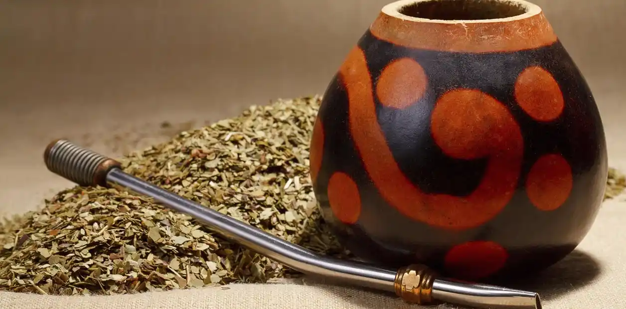 30 de noviembre: Día Nacional del Mate