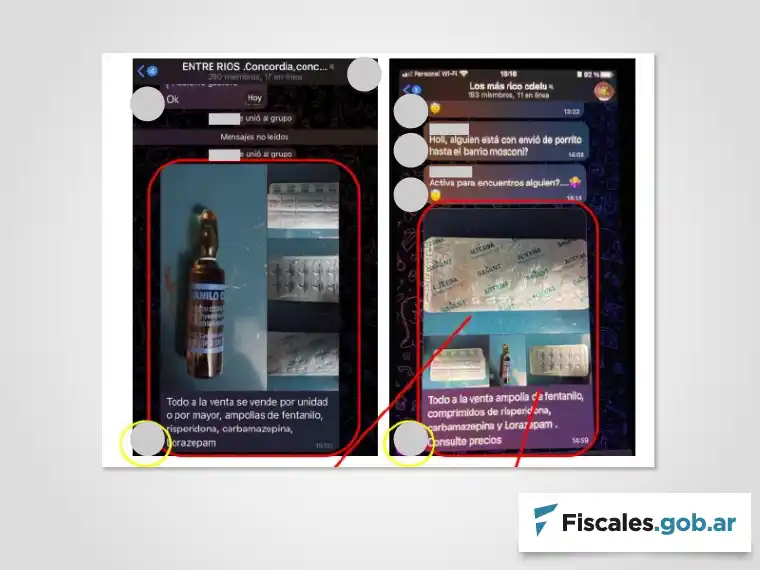 La fiscal que frenó a tiempo una red de tráfico de fentanilo en Entre Ríos