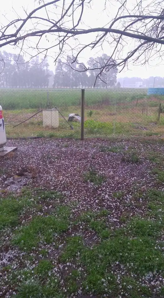 Mal tiempo: Siguen los alertas meteorológicos en la Provincia con caída de granizo