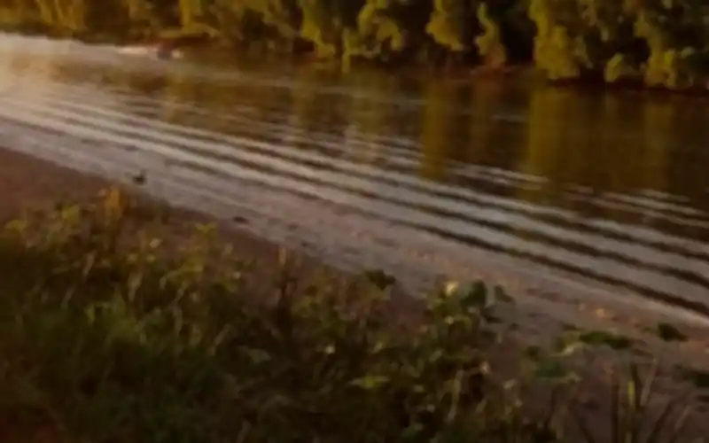 ¿No se limpia por algún motivo?