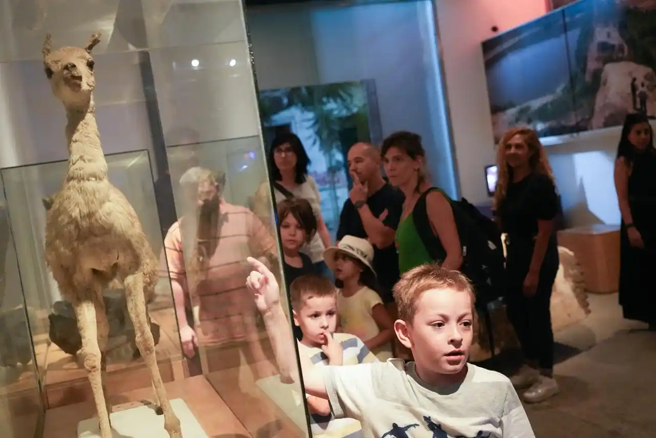 Más de 6.000 personas participaron de la Noche de los Museos Abiertos en Rosario