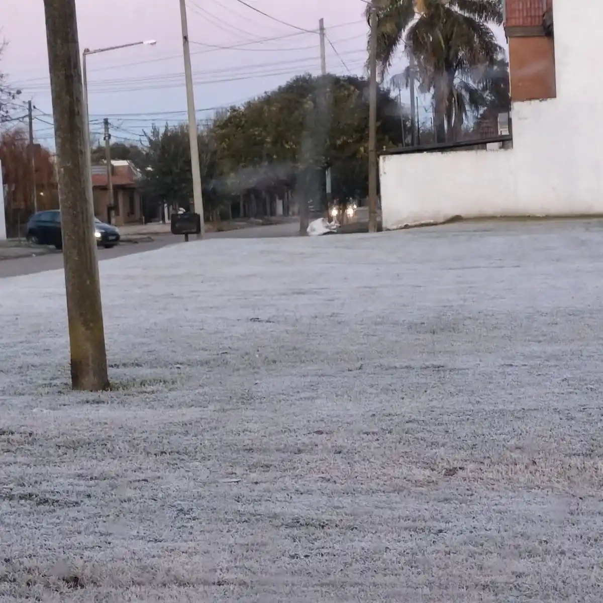 La helada se sintió en gran parte de la ciudad.