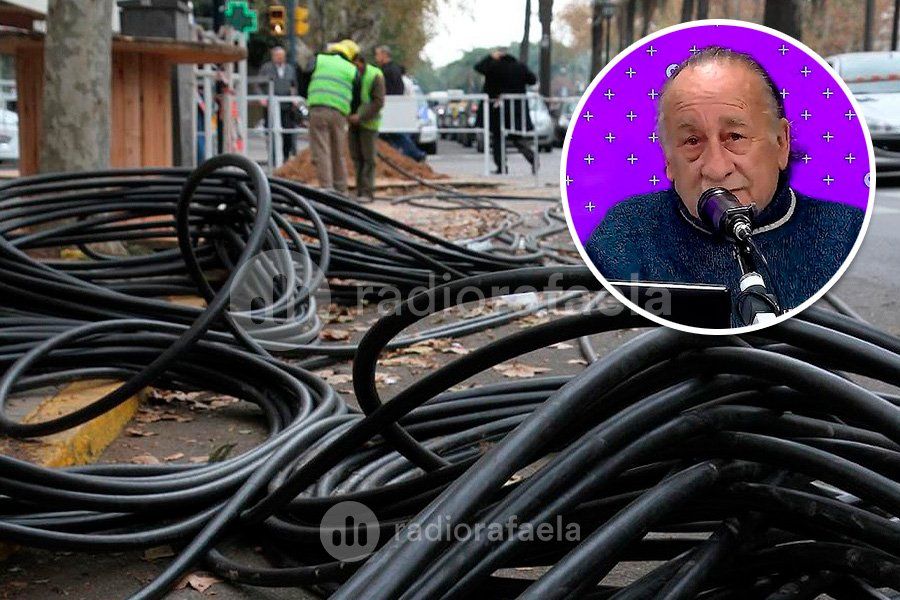Vecinos del barrio Jardín reclaman una solución a los problemas eléctricos: “Las hormigas se comieron los cables”