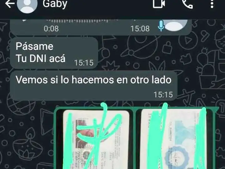 Neme en evidencia: los audios lo demuestran