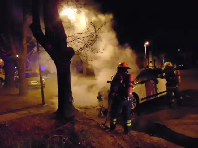 Venado Tuerto: chocó contra un árbol y el auto se prendió fuego
