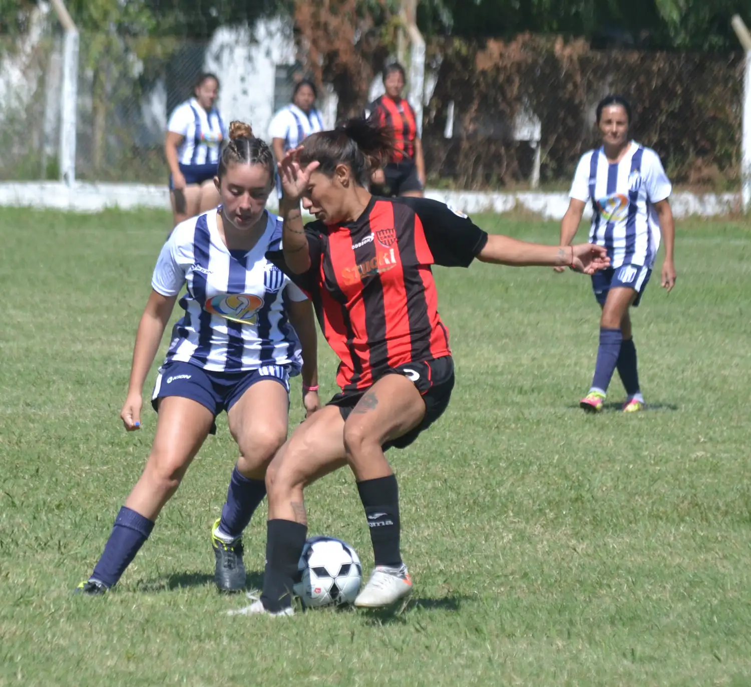 Femenino 2