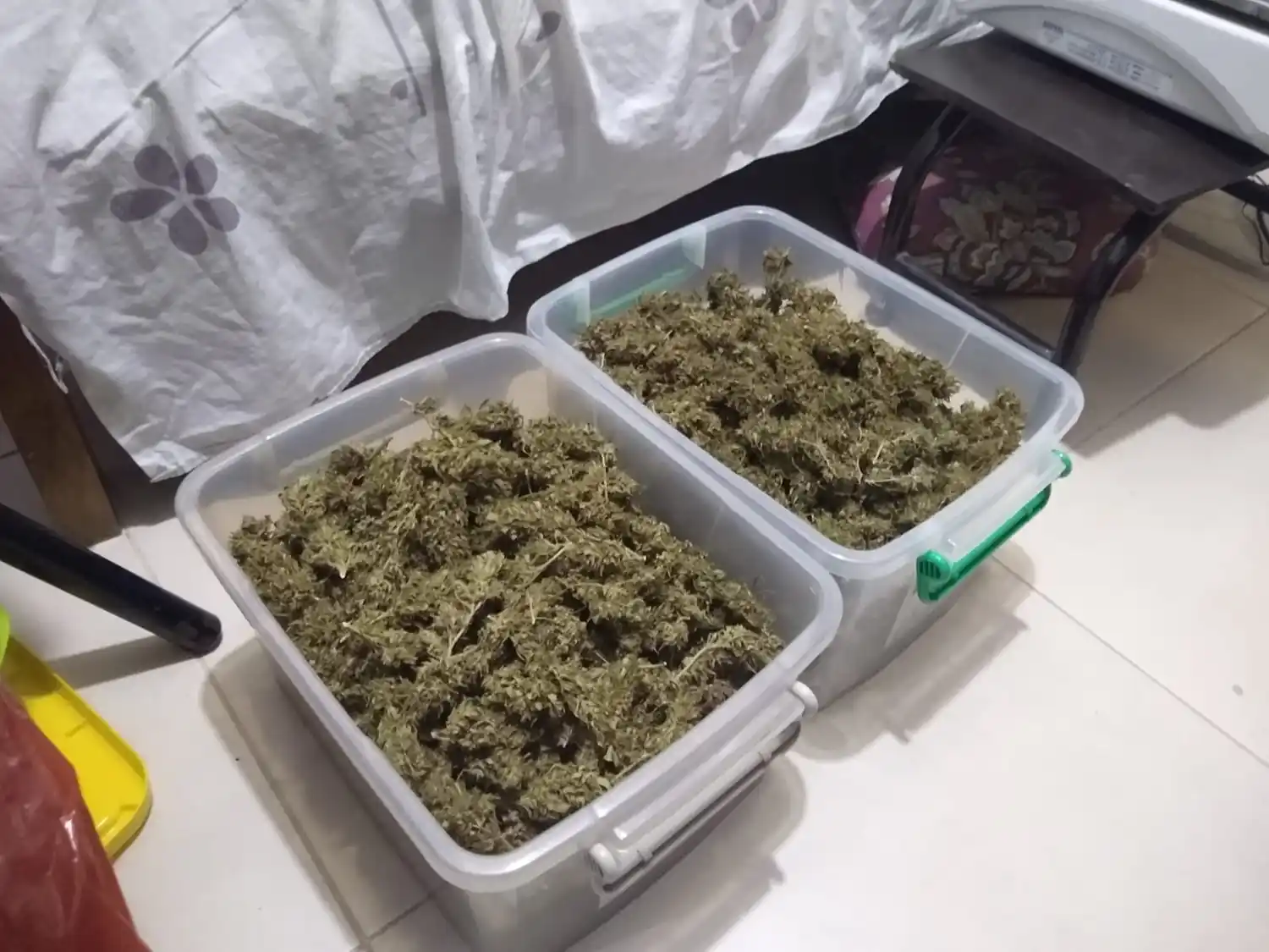 Fueron por una denuncia de violencia de género y secuestraron marihuana