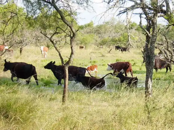 Feliciano será sede del segundo encuentro para el plan de Respuesta al Cambio Climático