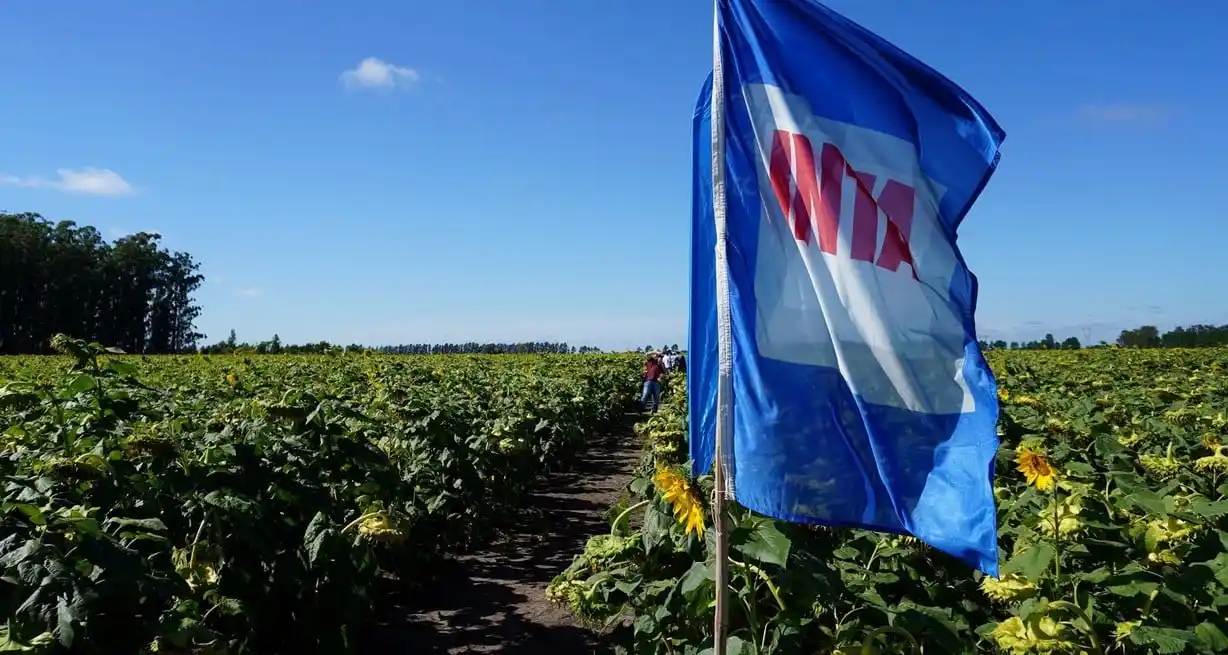 El Inta es un organismo público argentino que impulsa el desarrollo de la investigación y extensión agropecuaria, con el objetivo de tecnificar y mejorar la producción.