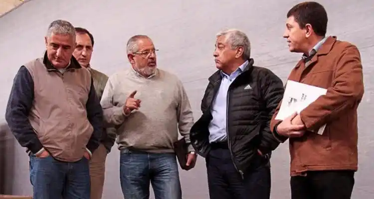 HLB: Resolución del SENASA permite el libre ingreso de fruta a la ciudad