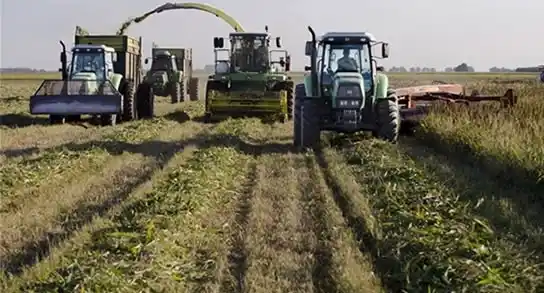“El sector triguero atraviesa la peor crisis económica de la última década”