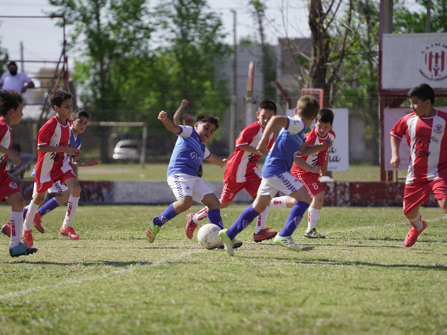 Se viene el inicio del Apertura de Baby Fútbol