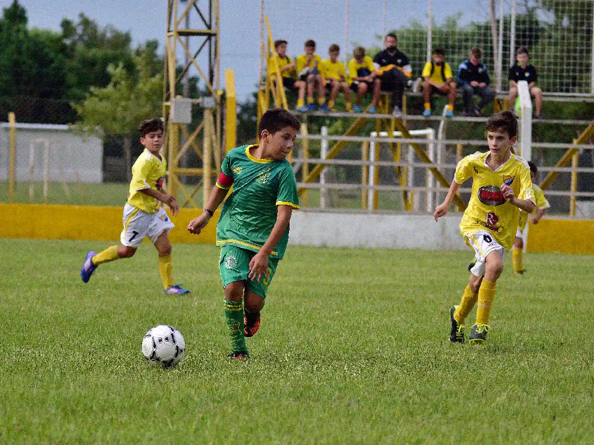 Sigue el Torneo Apertura