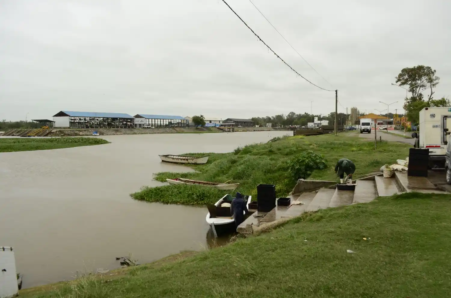 Hay que sacar el ganado de las islas por la creciente del Paraná