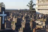 Ola de hechos delictivos en el Cementerio Municipal