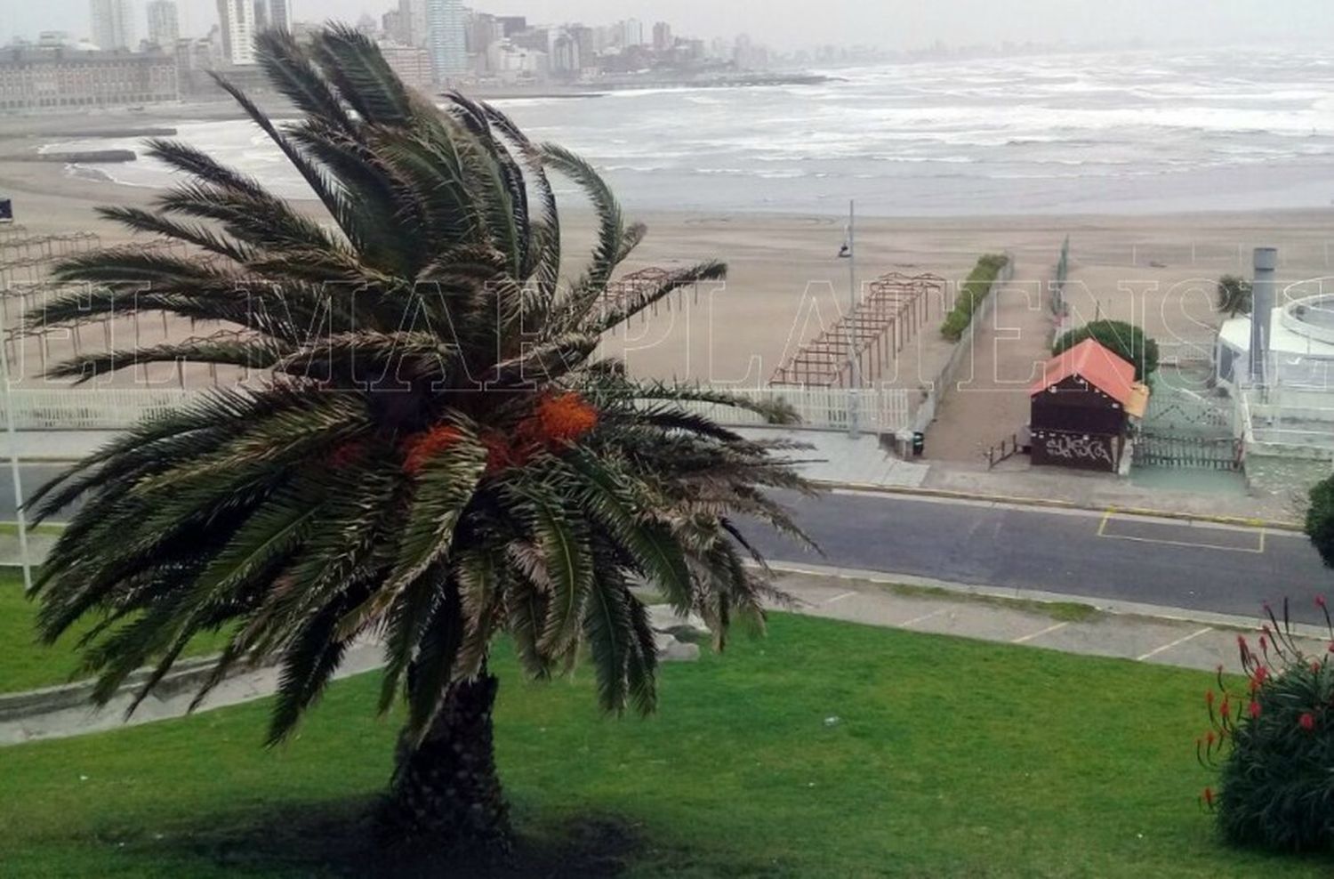 Sábado ventoso en Mar del Plata: se esperan ráfagas de hasta 70 km/h