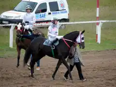 Denuncian a la Provincia por desviar fondos destinados a la actividad hípica