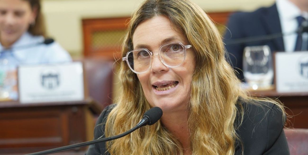 Diputada provincial, Silvana Di Stefano.