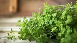 ¿SABÍAS QUÉ el agua de perejil tiene propiedades milagrosas para adelgazar y bajar triglicéridos?