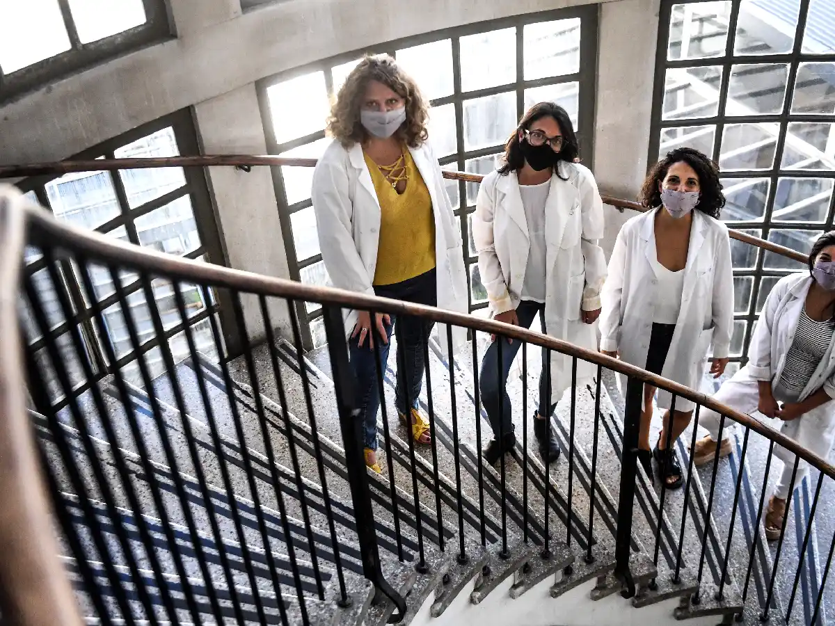 Estudian una terapia alternativa contra la endometriosis a base de extracto de romero