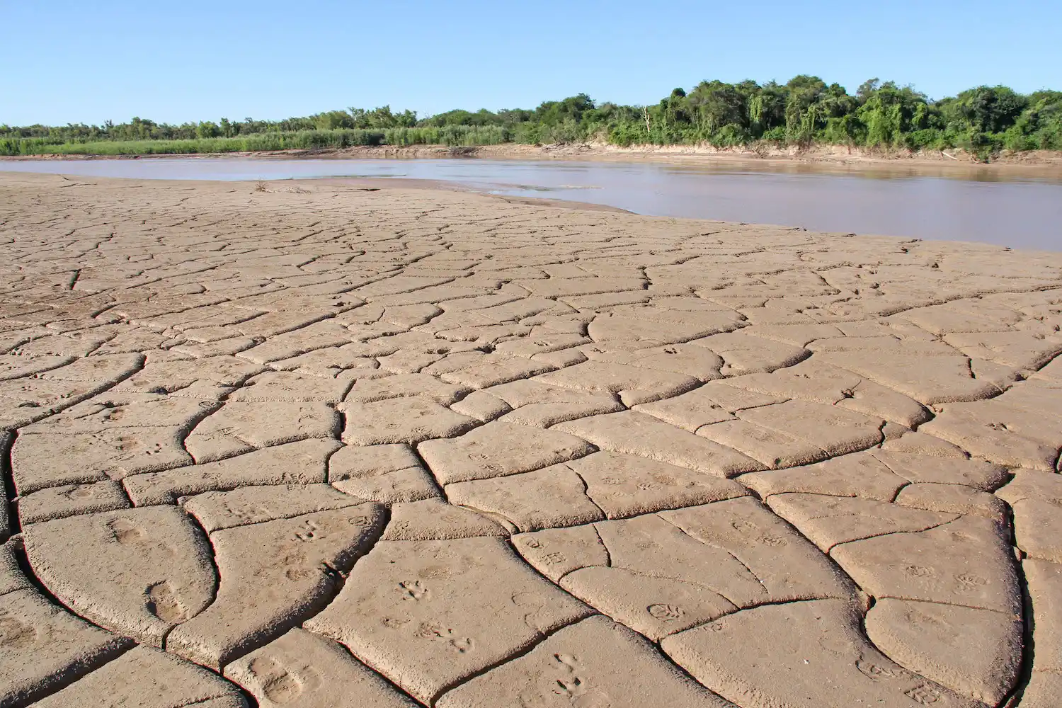 “Nunca el río se comportó de esta manera durante tantos meses o años”, indicó Pujato