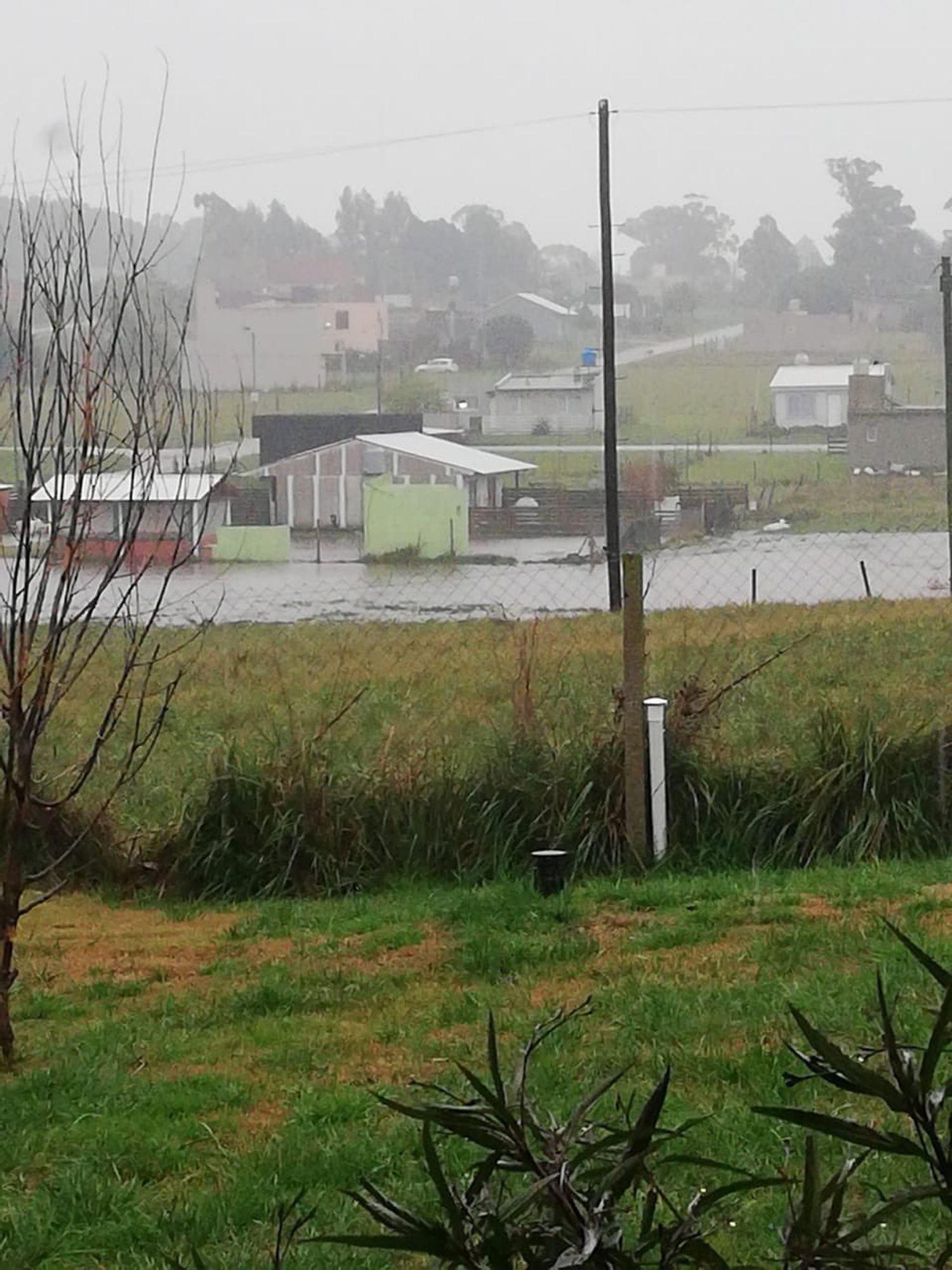 Mar del Plata: 26 evacuados por el temporal