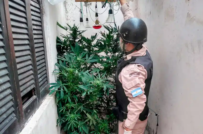 Prefectura, tras el mega operativo narco: "Traficaban en toda la ciudad"