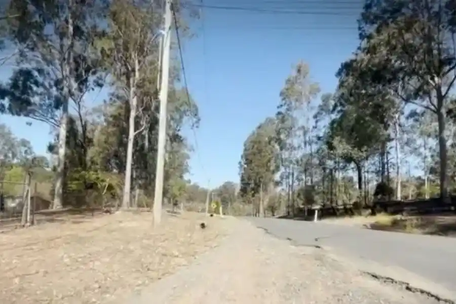 Insólito: Un chofer de un micro escolar se enojó y abandonó a chicos porque "se portaban mal"