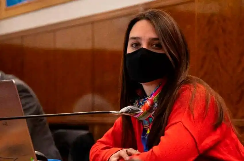 El Frente de Todos propone la creación de un Observatorio Ambiental para General Pueyrredon