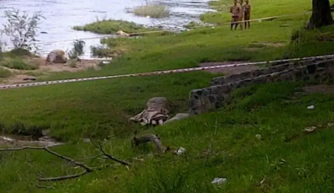 Asesinó a golpes a un anciano porque se lo "pidió el diablo"