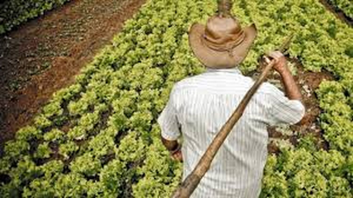 En el Día del agricultor, honraron a todos los que ponen la comida sobre la mesa de los tandilenses